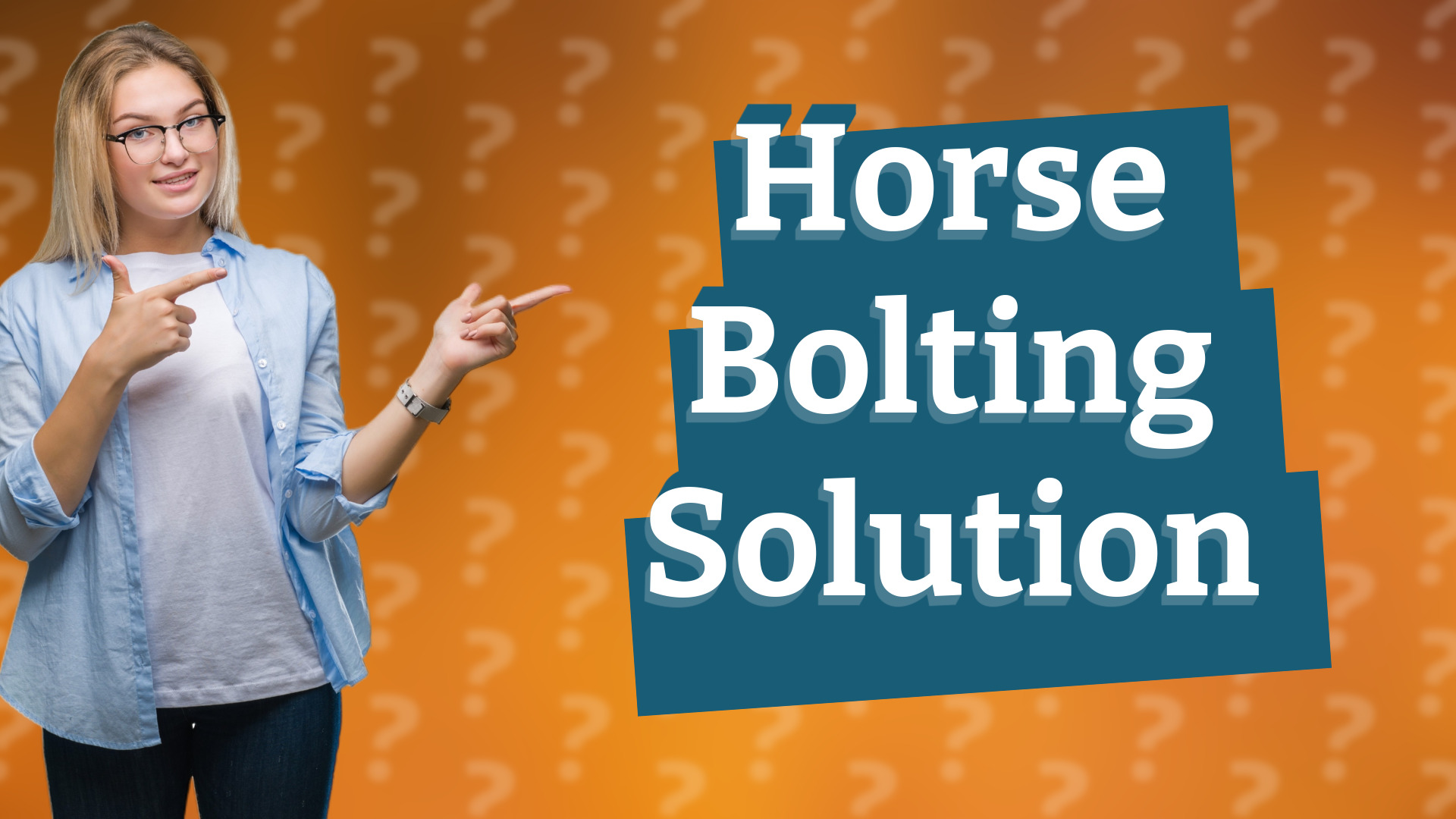 Horse Bolting Solution