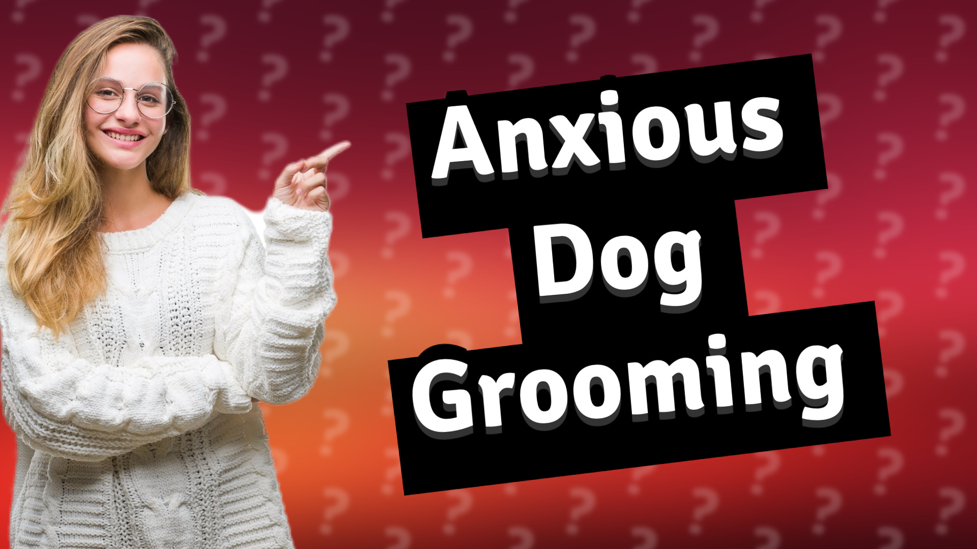 Anxious Dog Grooming