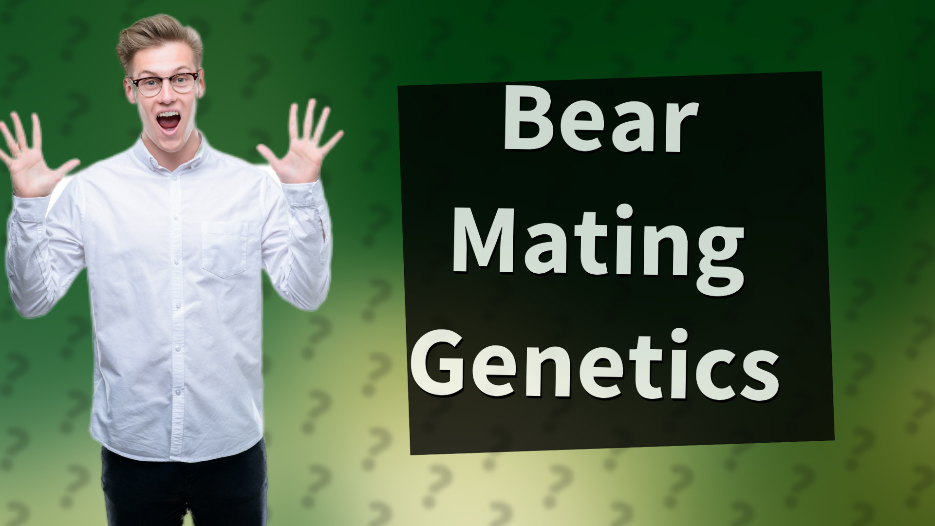 Bear Mating Genetics