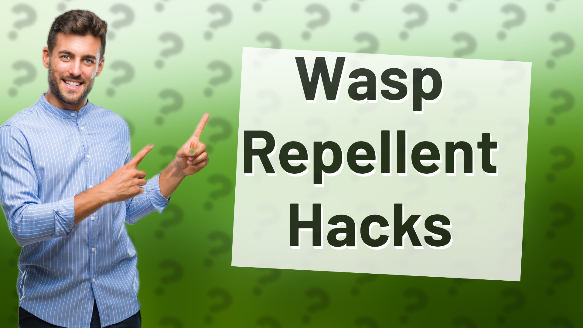 Wasp Repellent Hacks