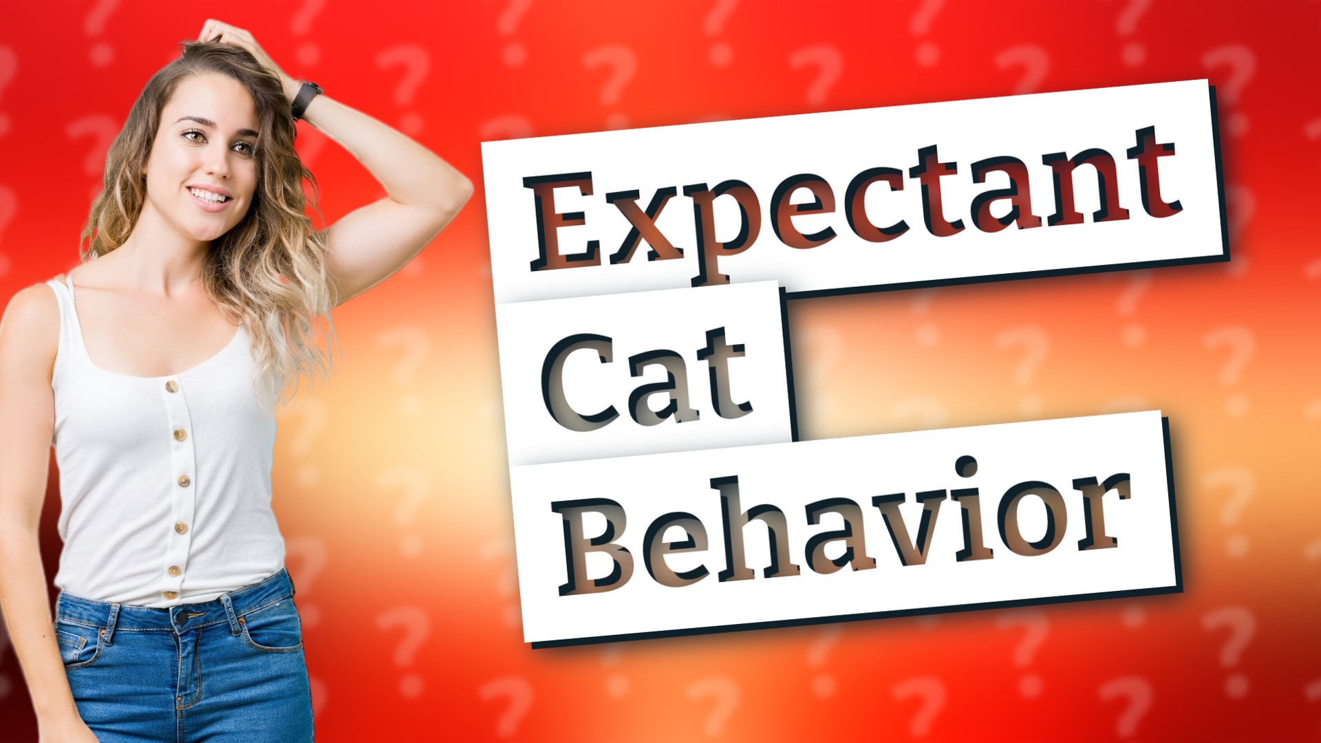 Expectant Cat Behavior