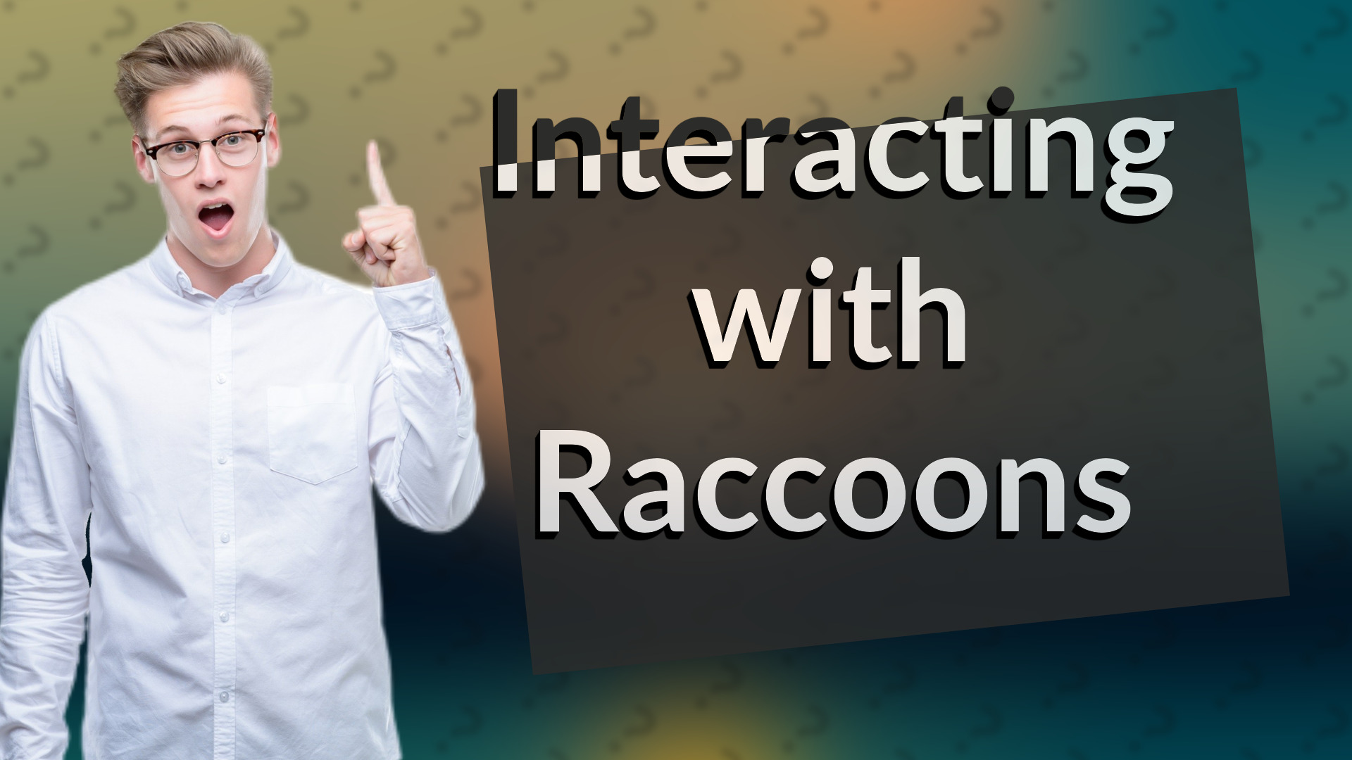 Interacting with Raccoons