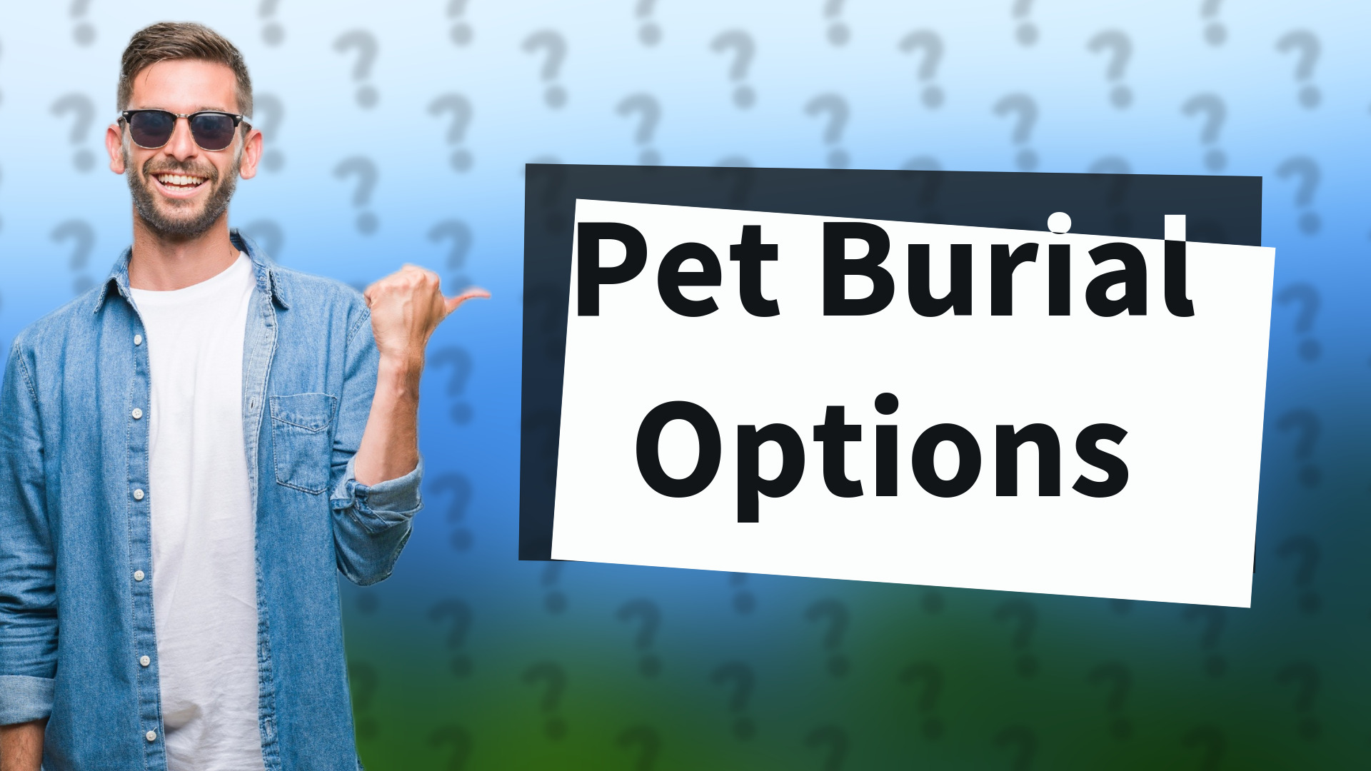 Pet Burial Options
