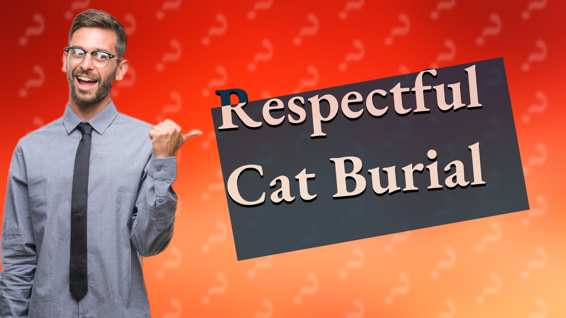 Respectful Cat Burial