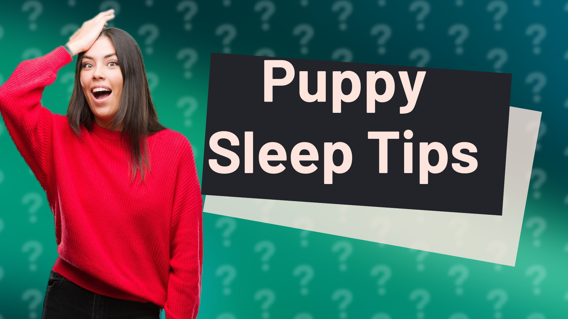 Puppy Sleep Tips