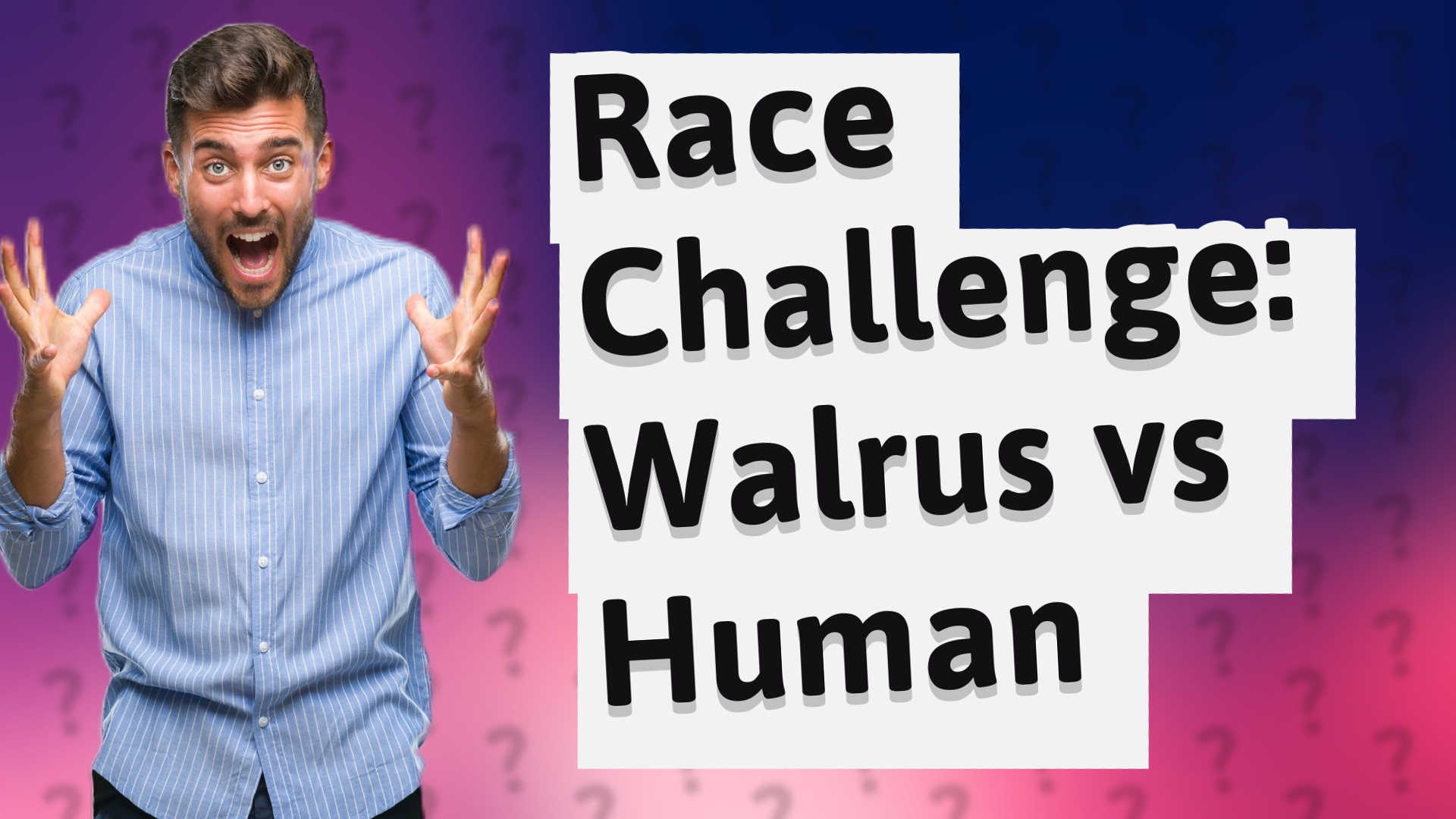 Race Challenge: Walrus vs Human
