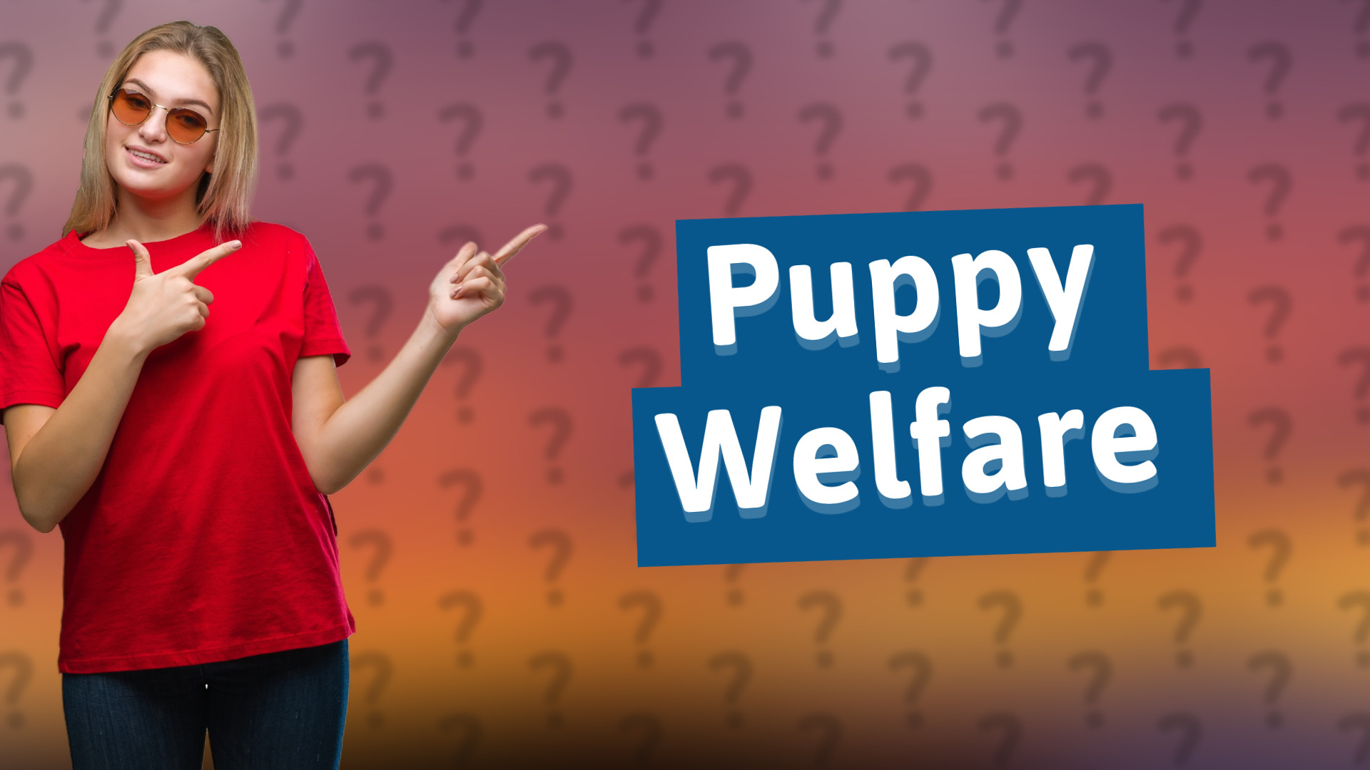 Puppy Welfare