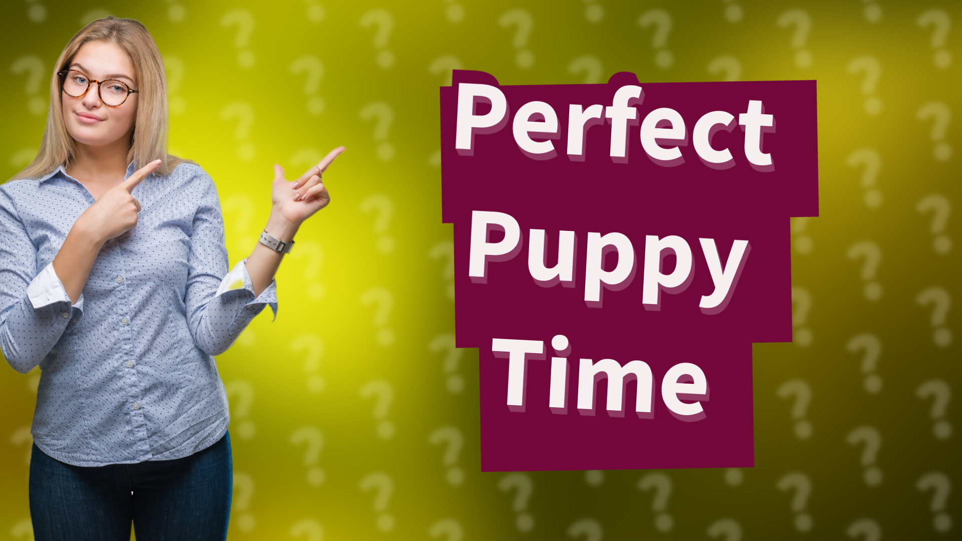 Perfect Puppy Time