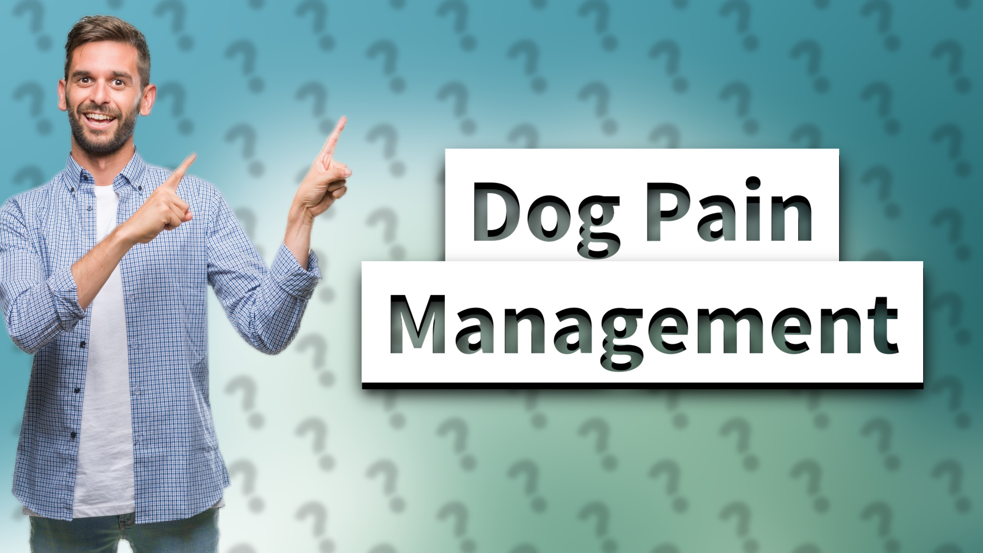 Dog Pain Management