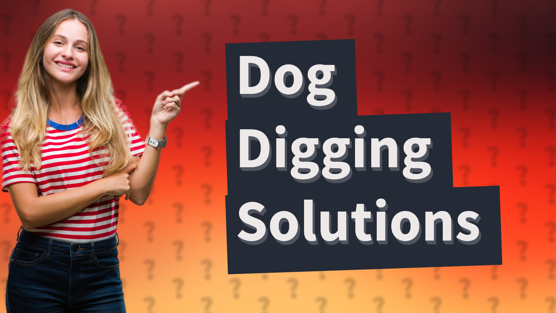 Dog Digging Solutions