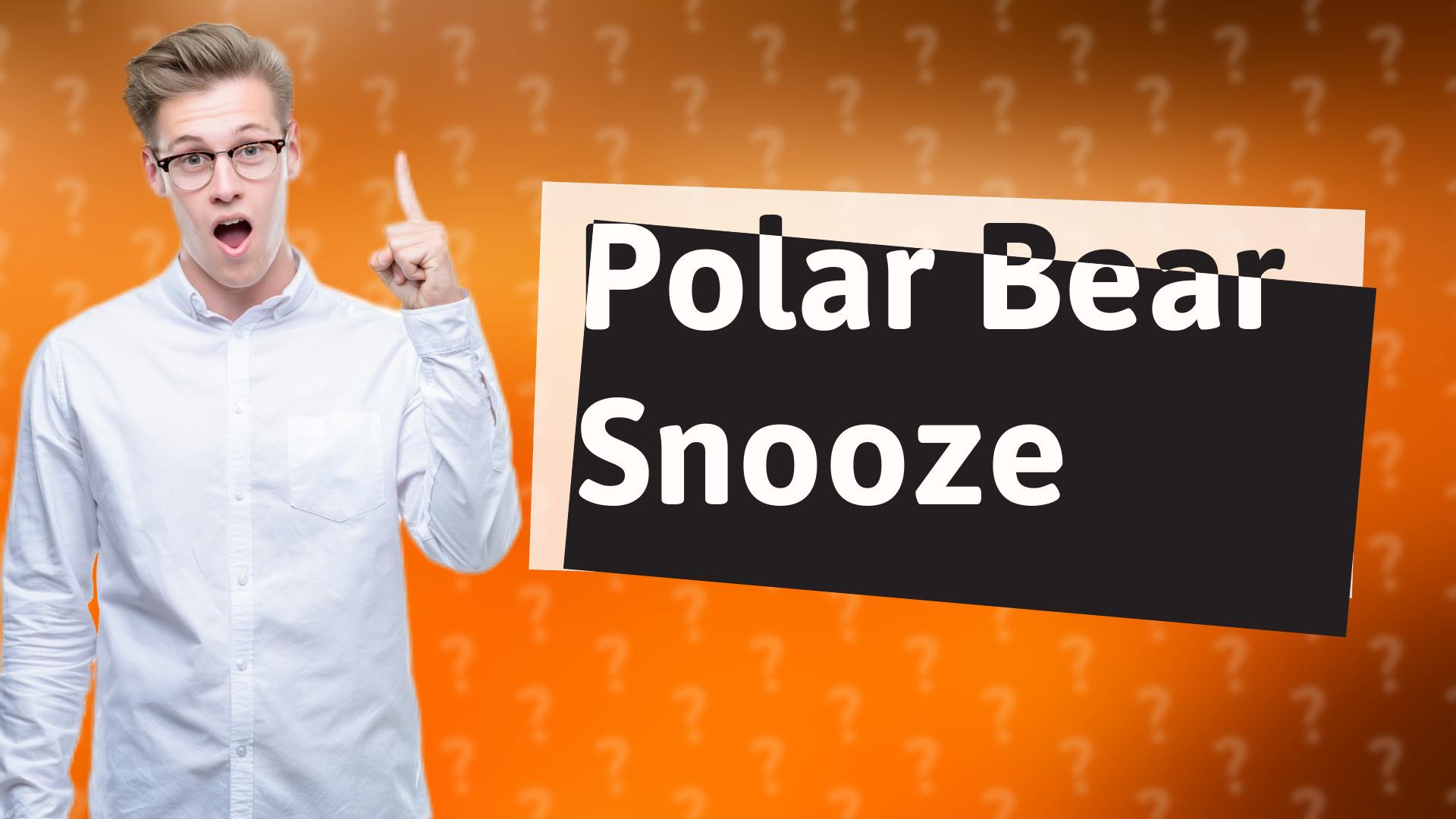 Polar Bear Snooze