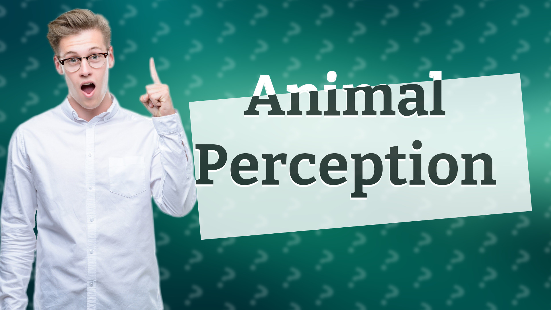 Animal Perception