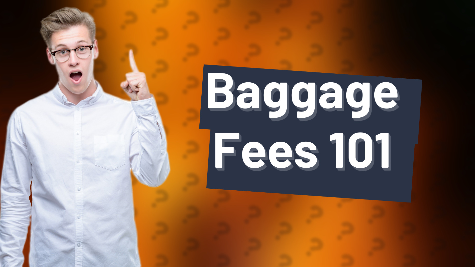 Baggage Fees 101