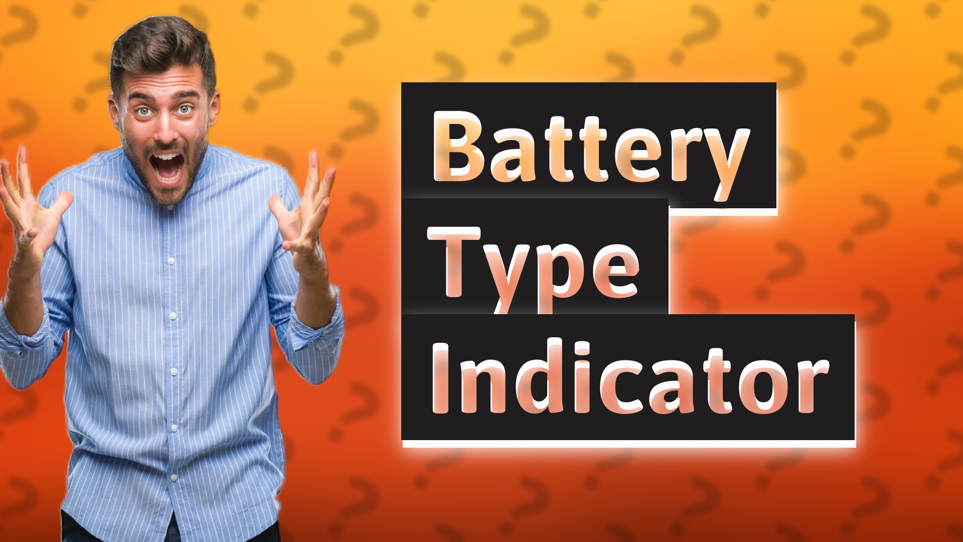 Battery Type Indicator