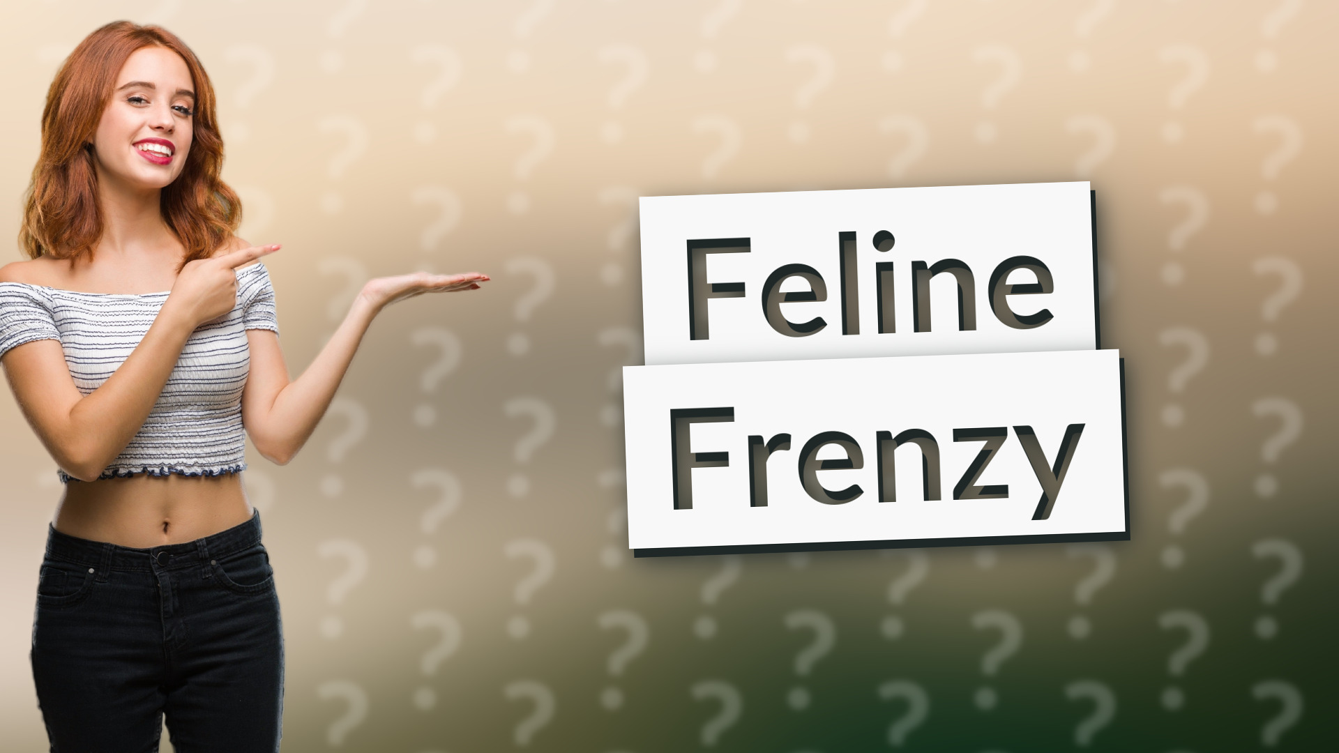 Feline Frenzy