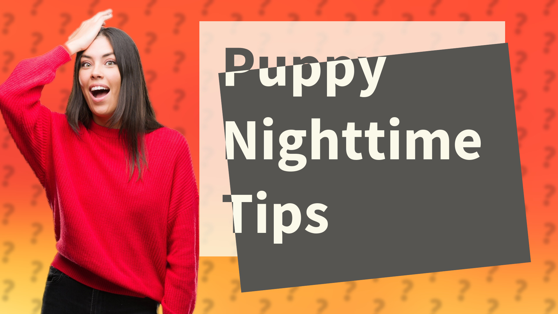 Puppy Nighttime Tips