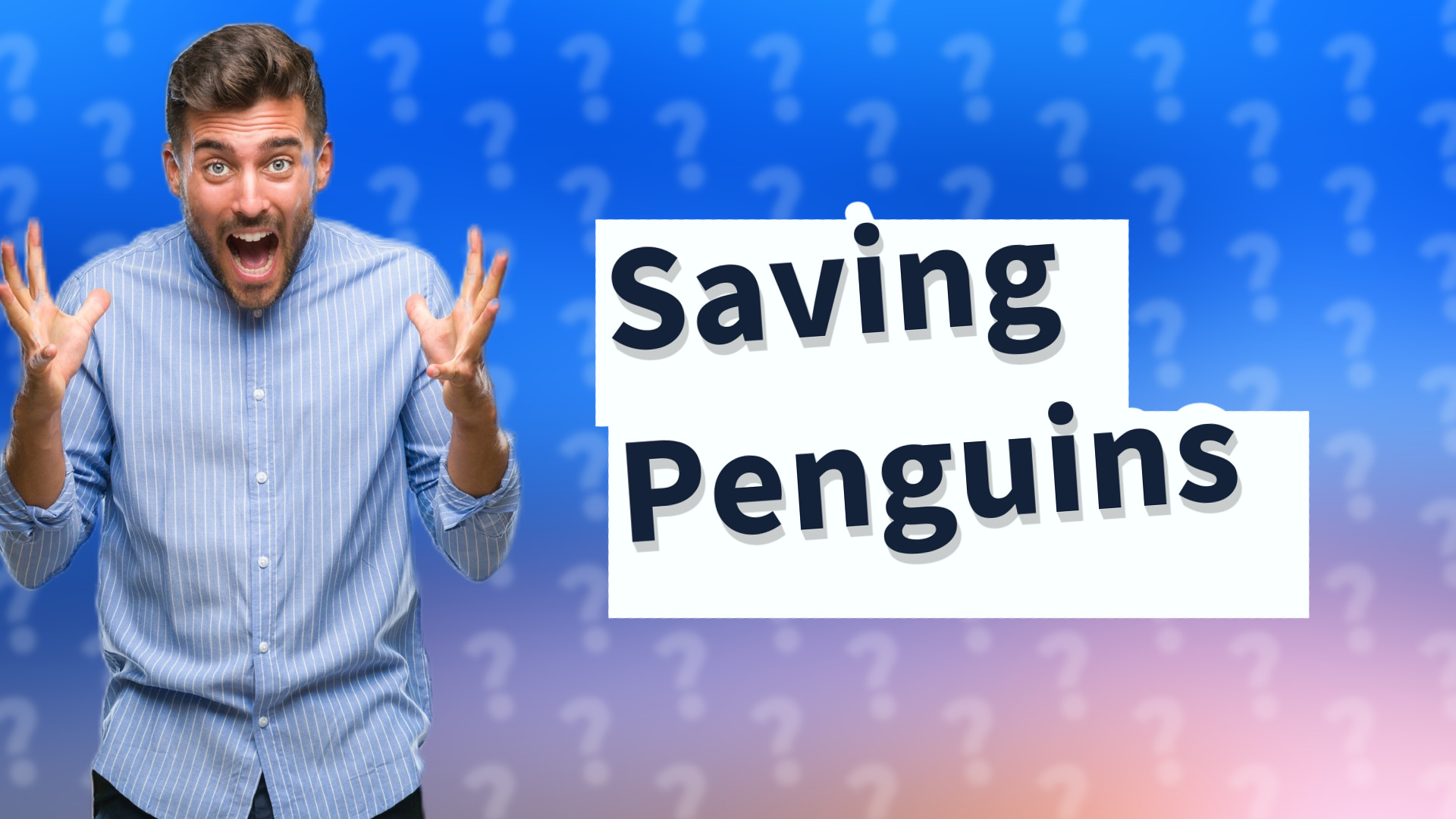 Saving Penguins