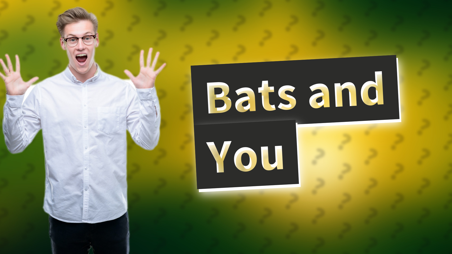 Bats and You