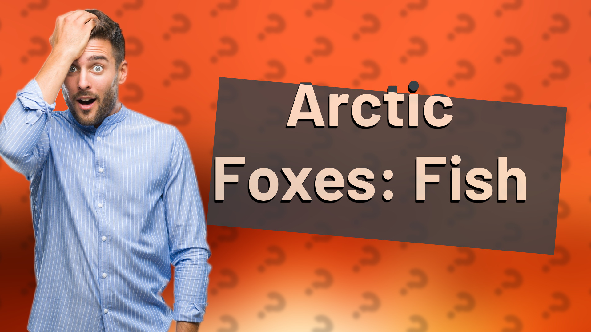 Arctic Foxes: Fish