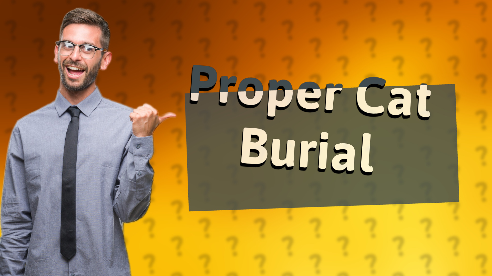 Proper Cat Burial
