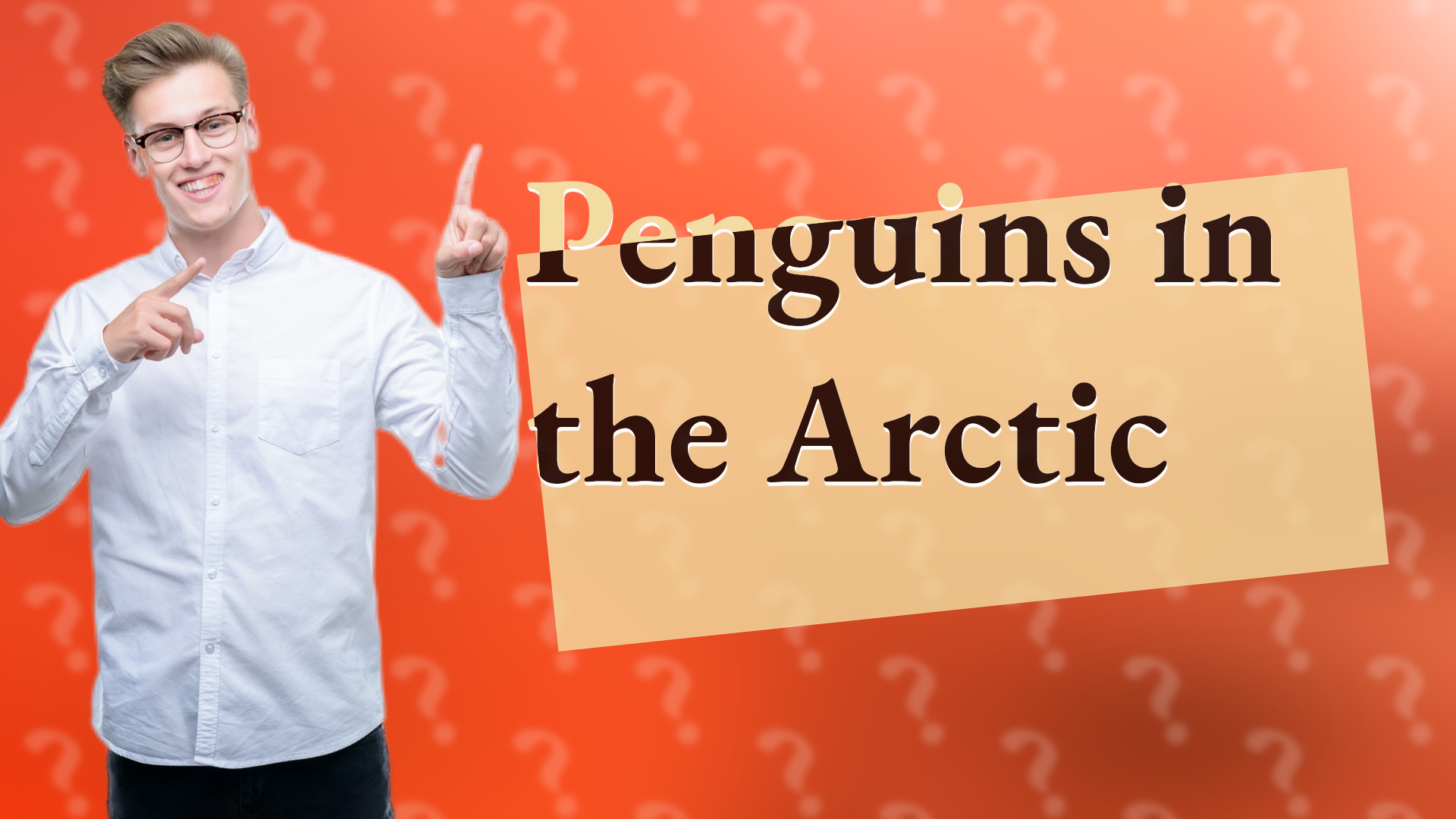 Penguins in the Arctic