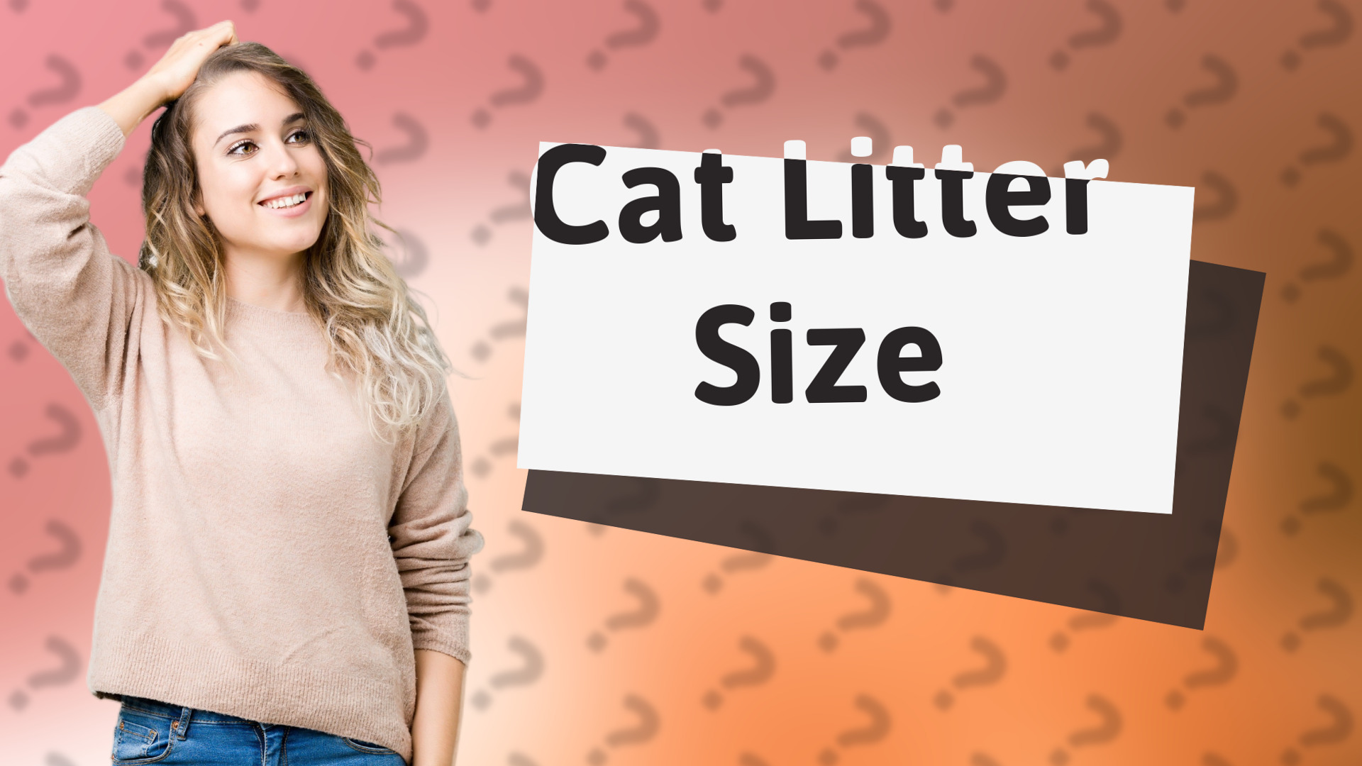 Cat Litter Size
