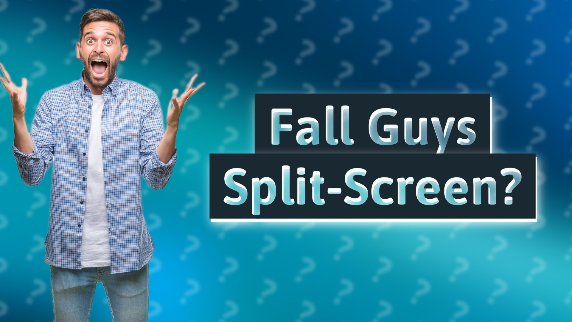 Fall Guys Split-Screen?