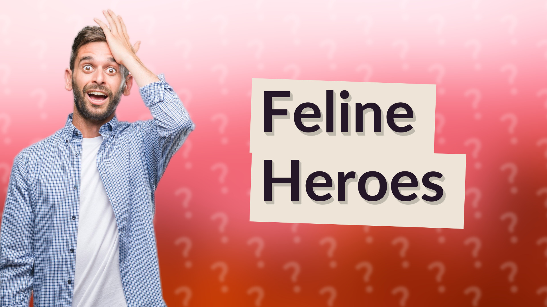 Feline Heroes
