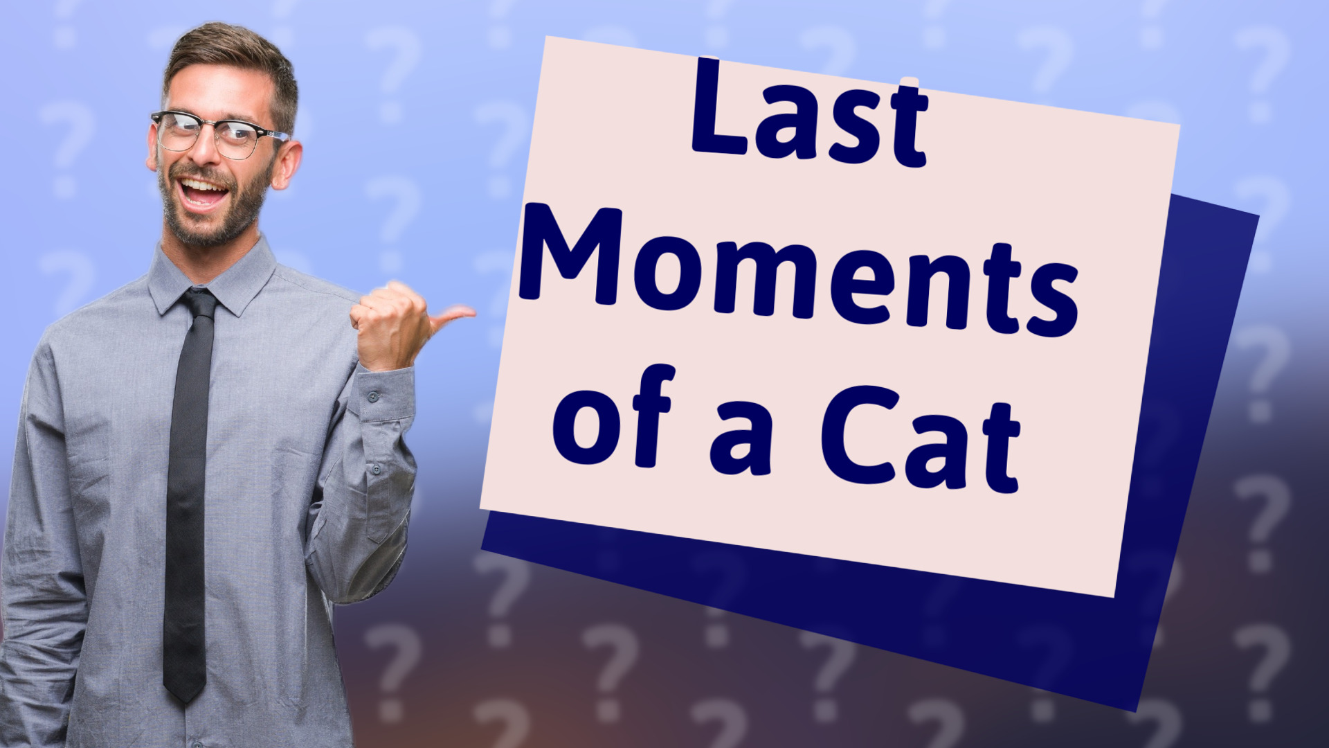 Last Moments of a Cat