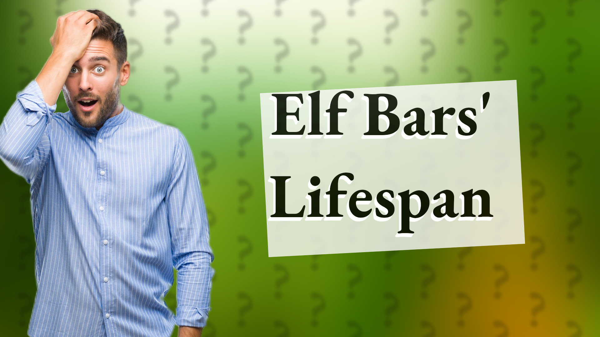 Elf Bars' Lifespan