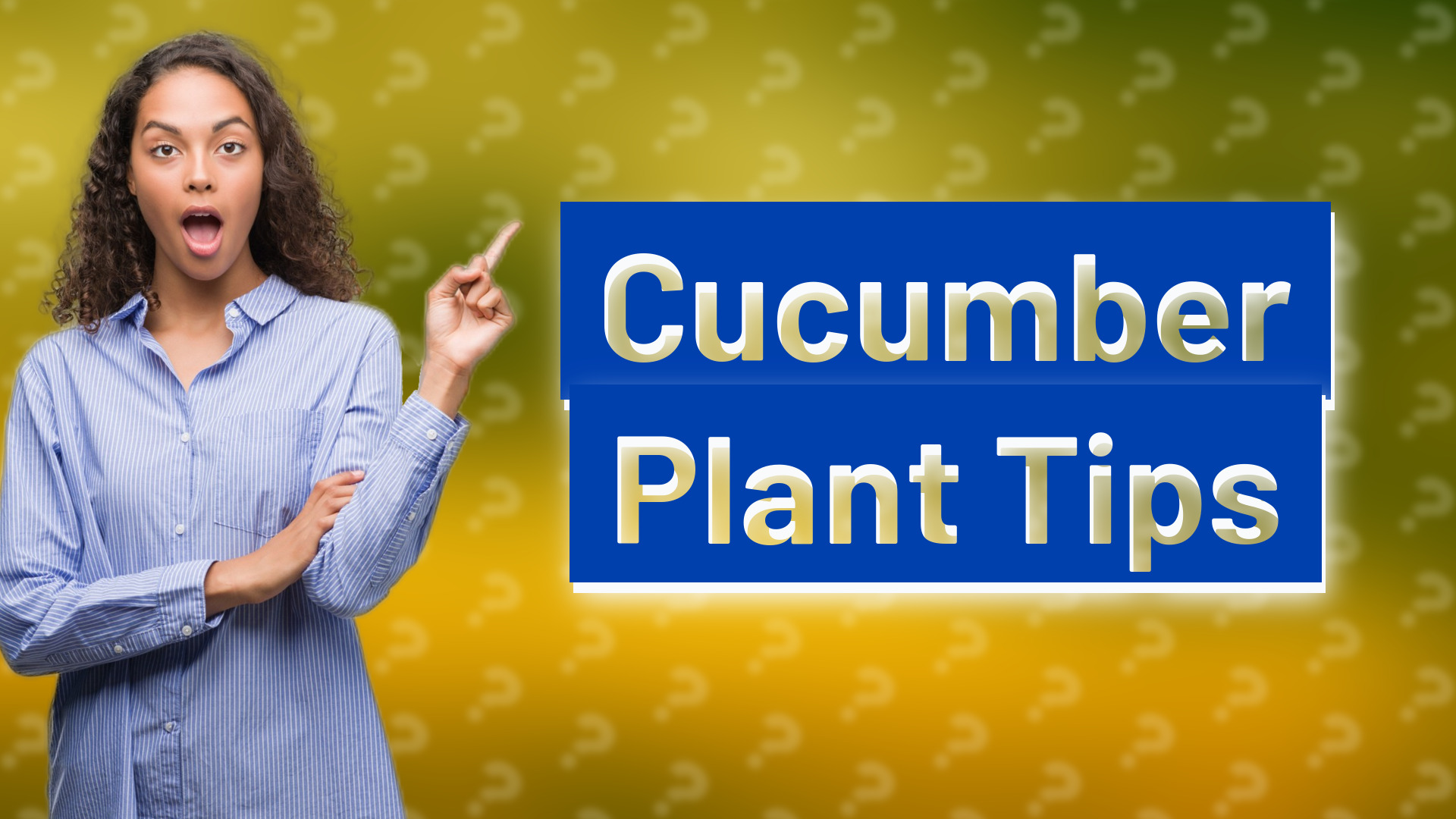Cucumber Plant Tips