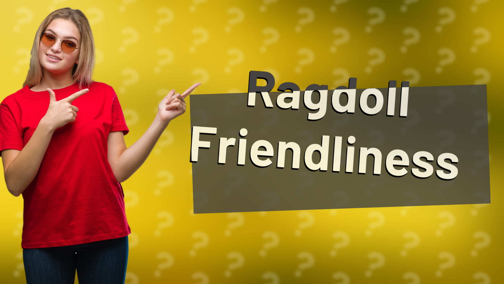 Ragdoll Friendliness