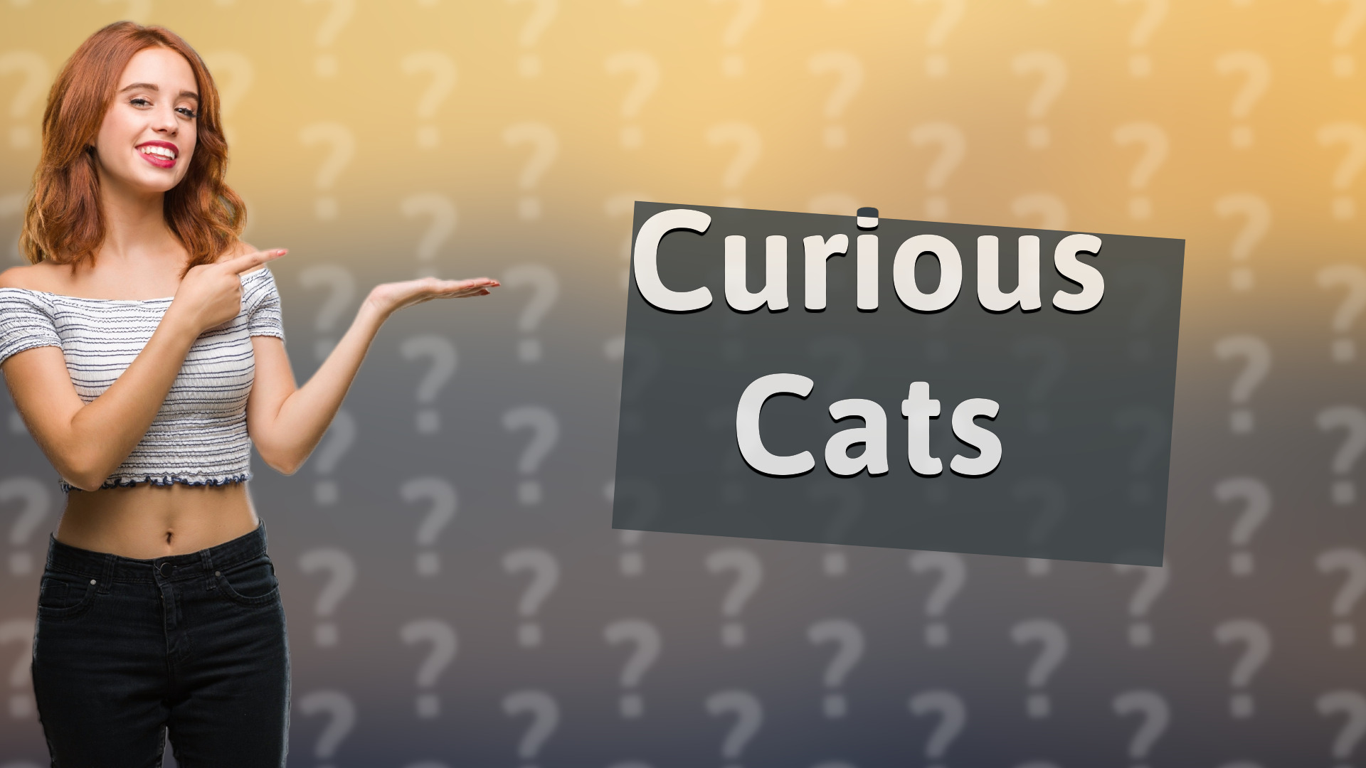 Curious Cats