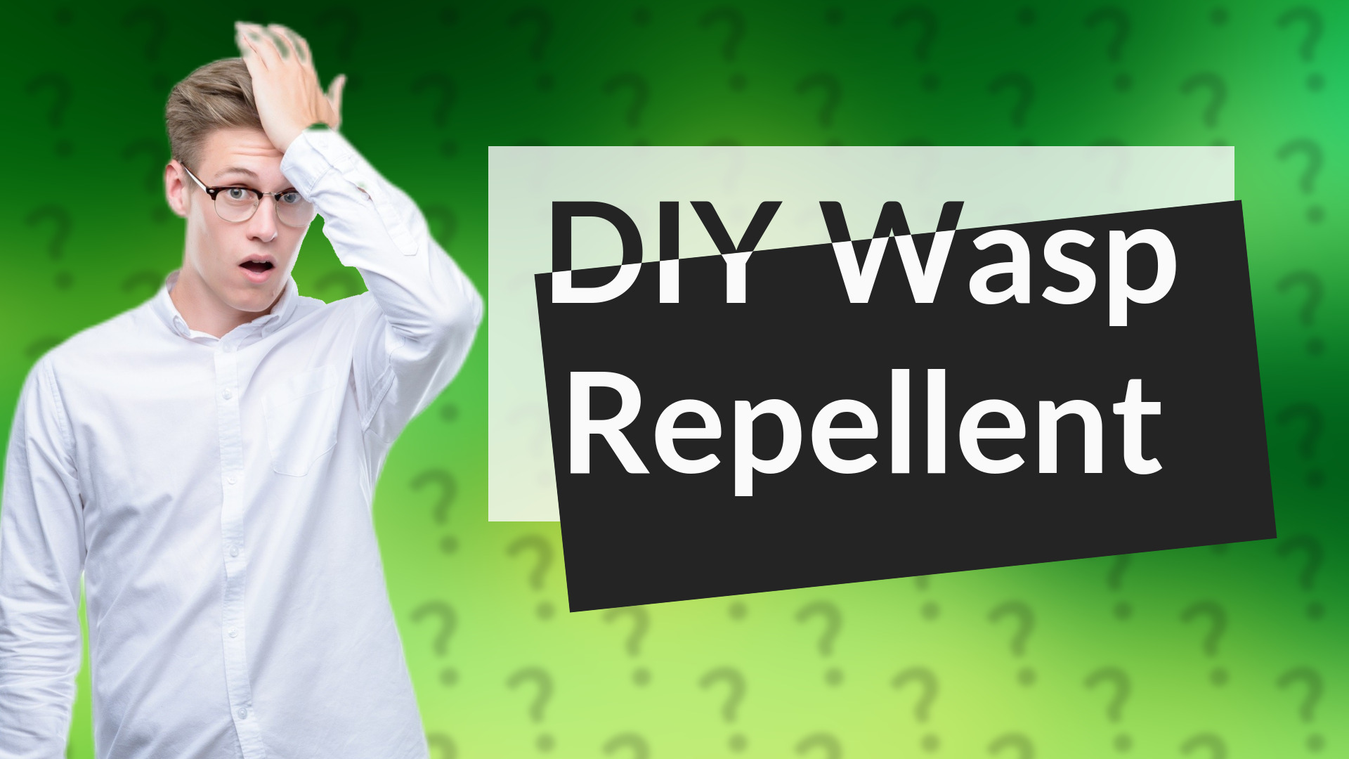 DIY Wasp Repellent
