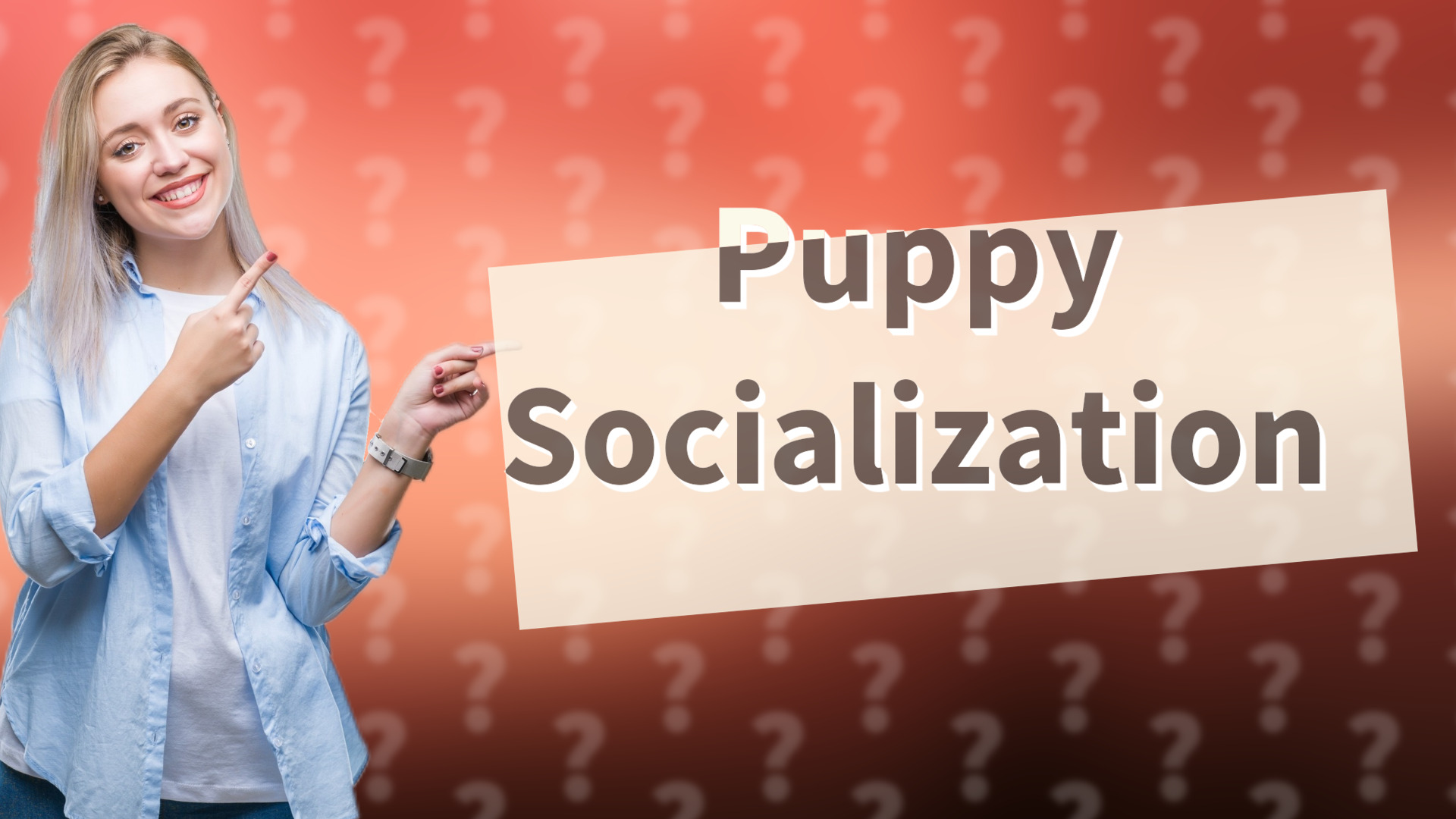 Puppy Socialization