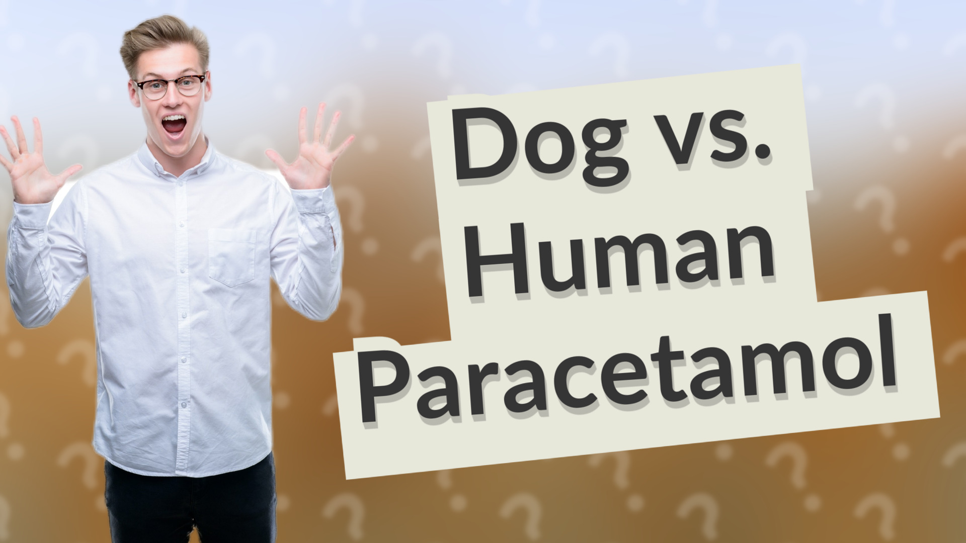 Dog vs. Human Paracetamol