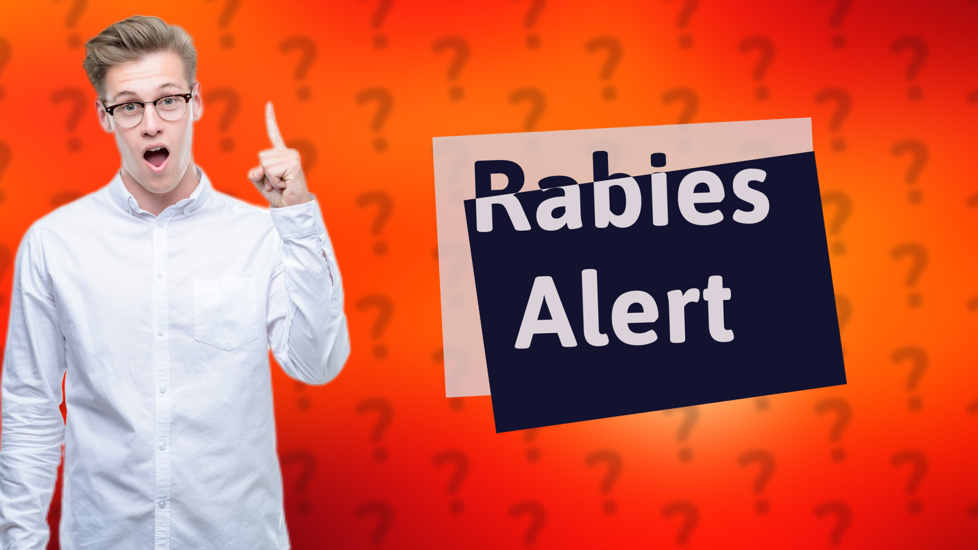 Rabies Alert