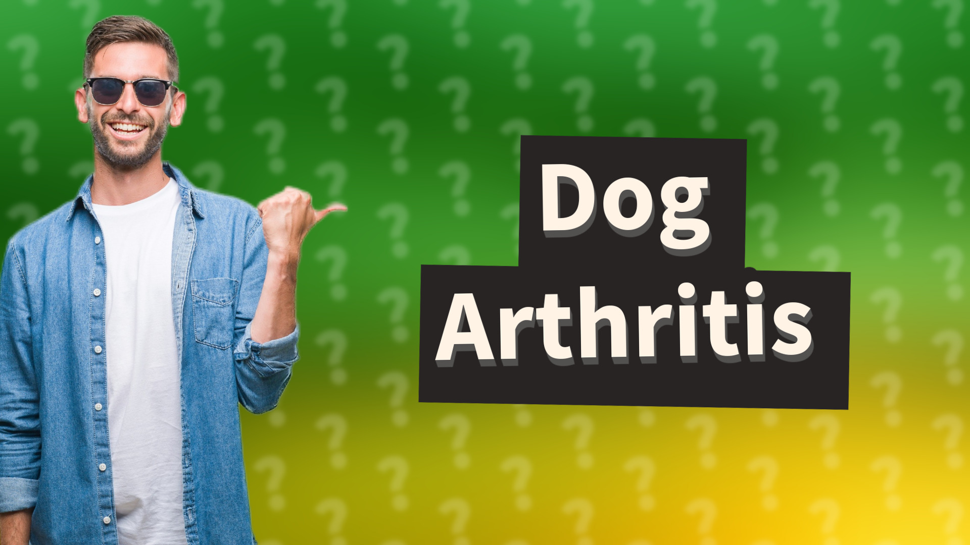 Dog Arthritis