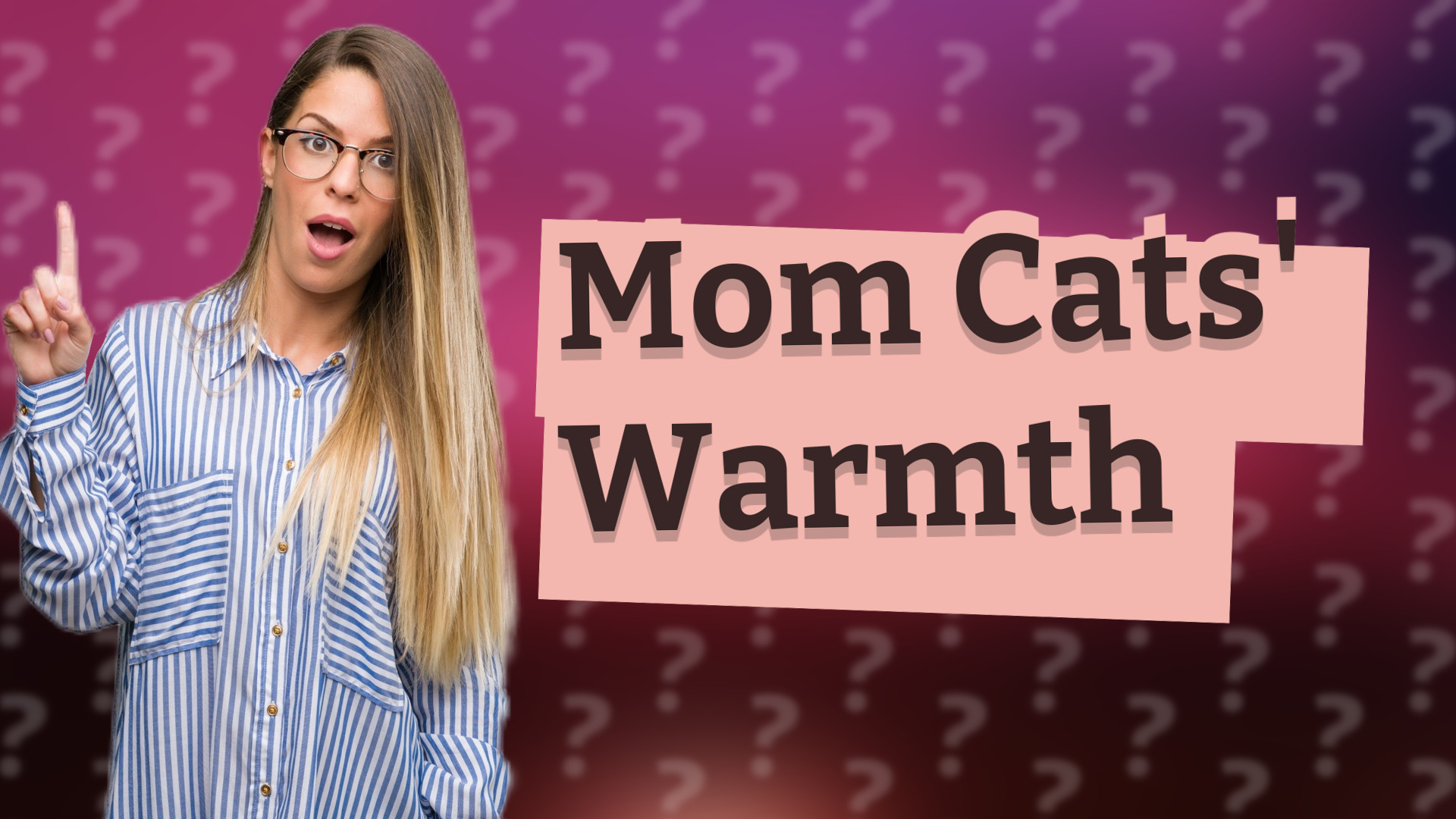Mom Cats' Warmth