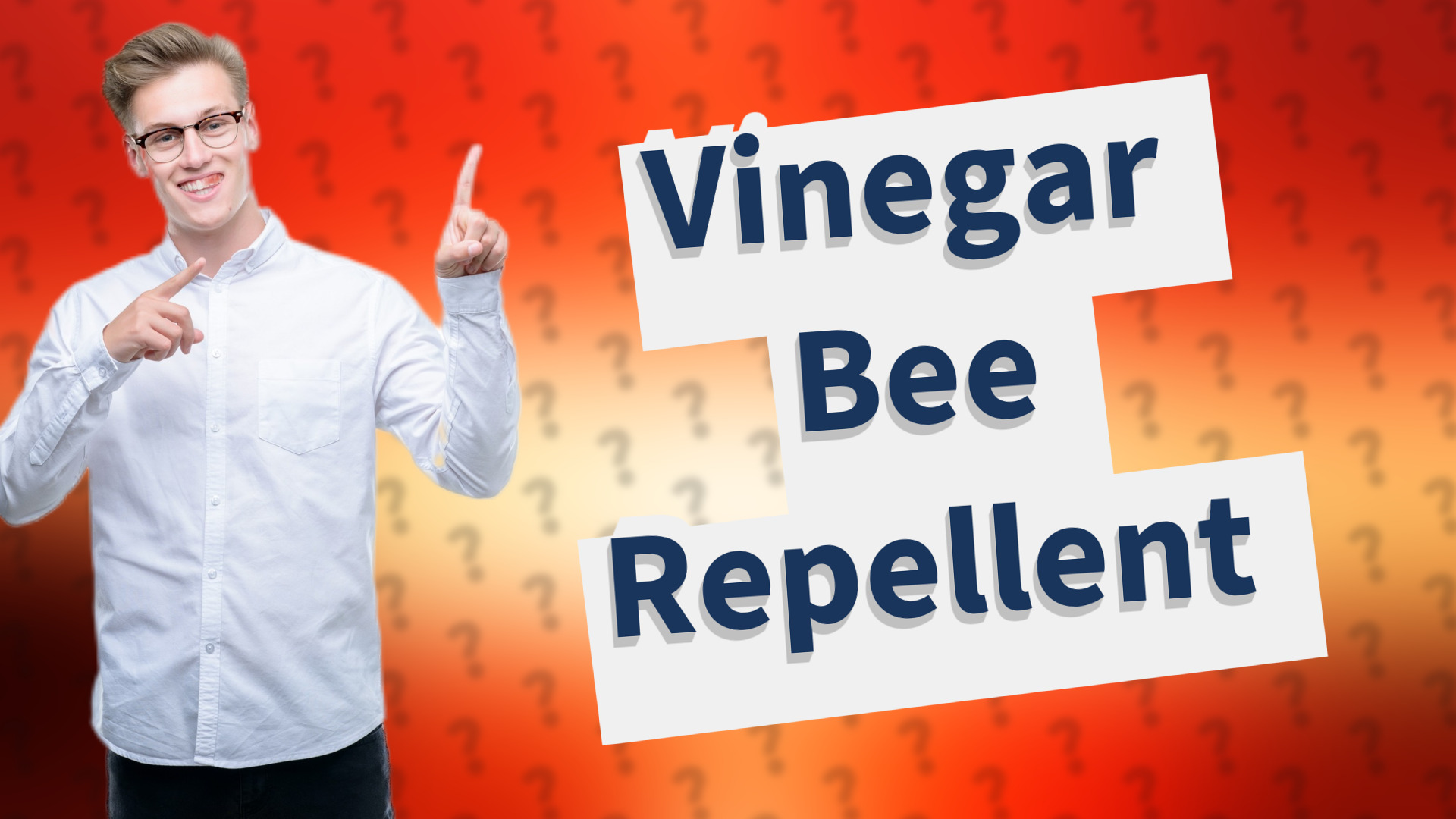 Vinegar Bee Repellent