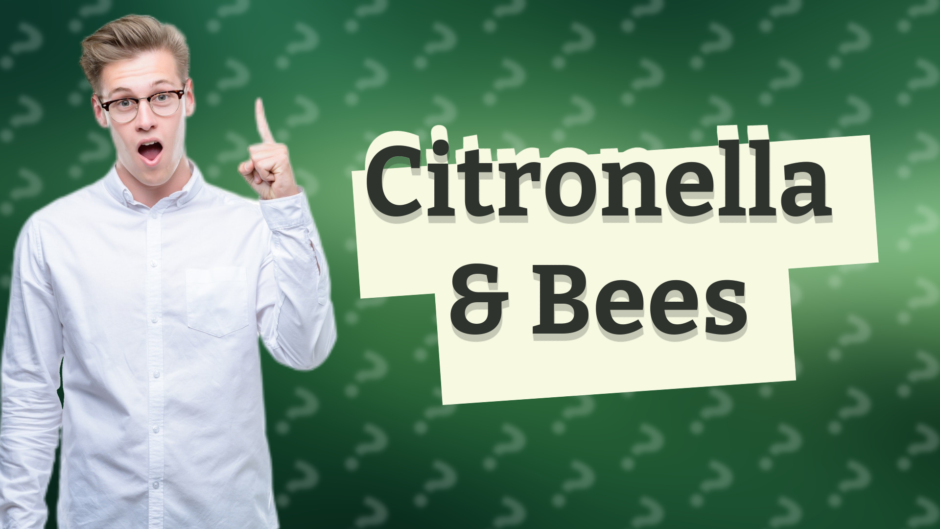 Citronella & Bees
