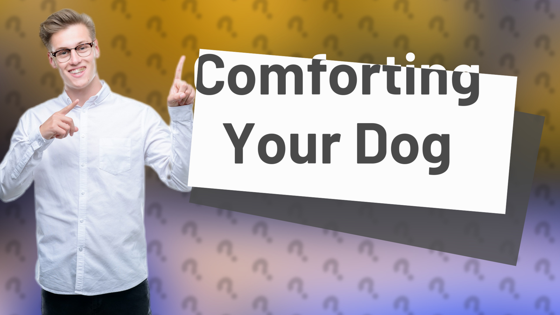 Comforting Your Dog