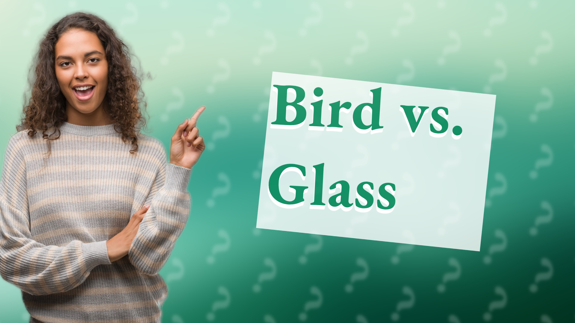 Bird vs. Glass