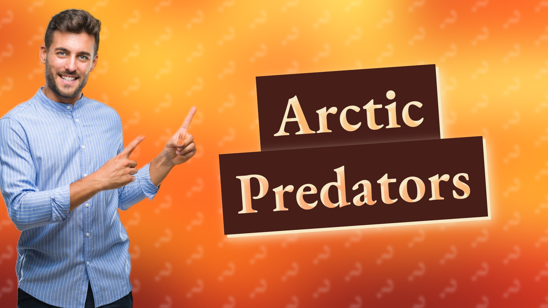 Arctic Predators