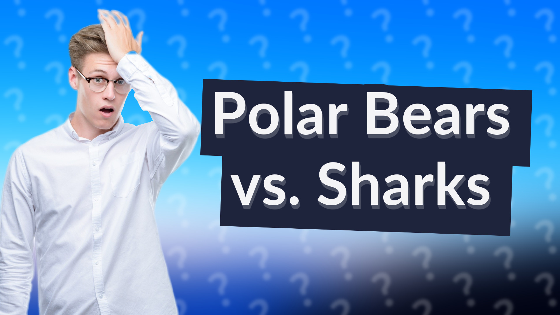 Polar Bears vs. Sharks
