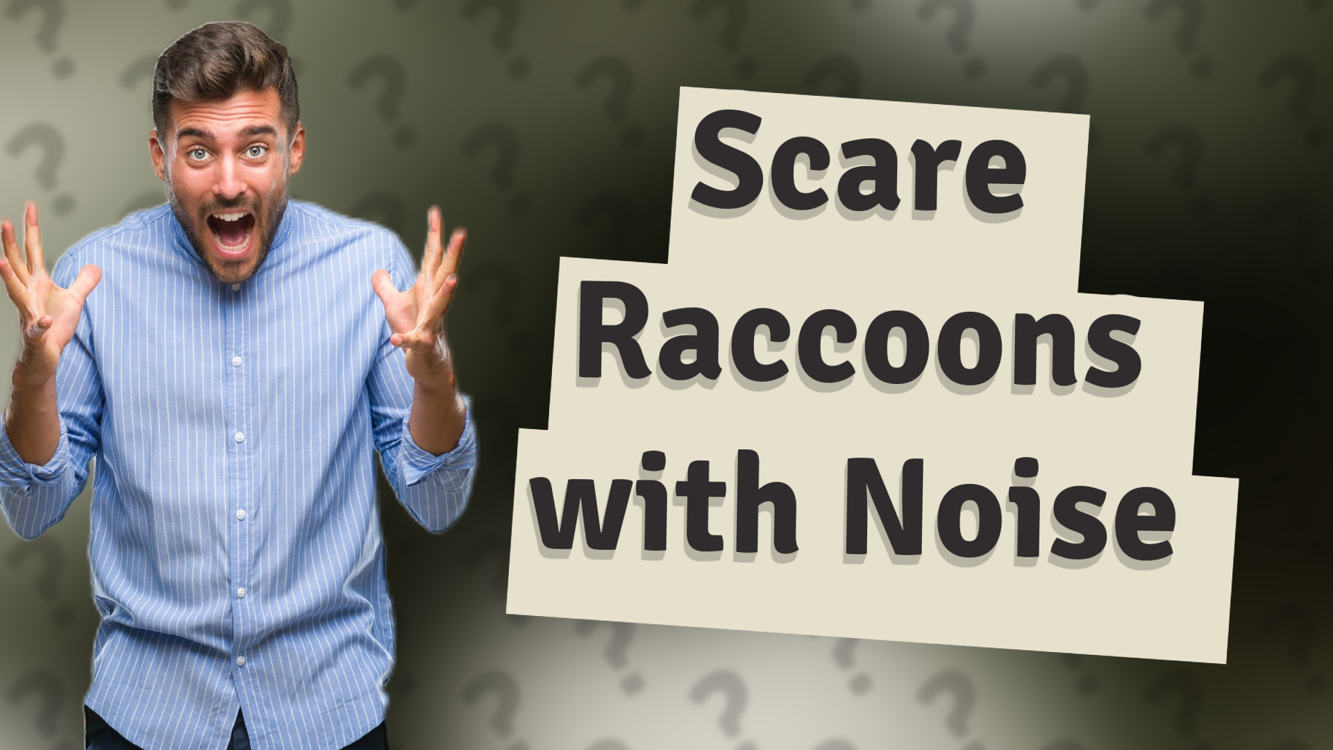Scare Raccoons with Noise