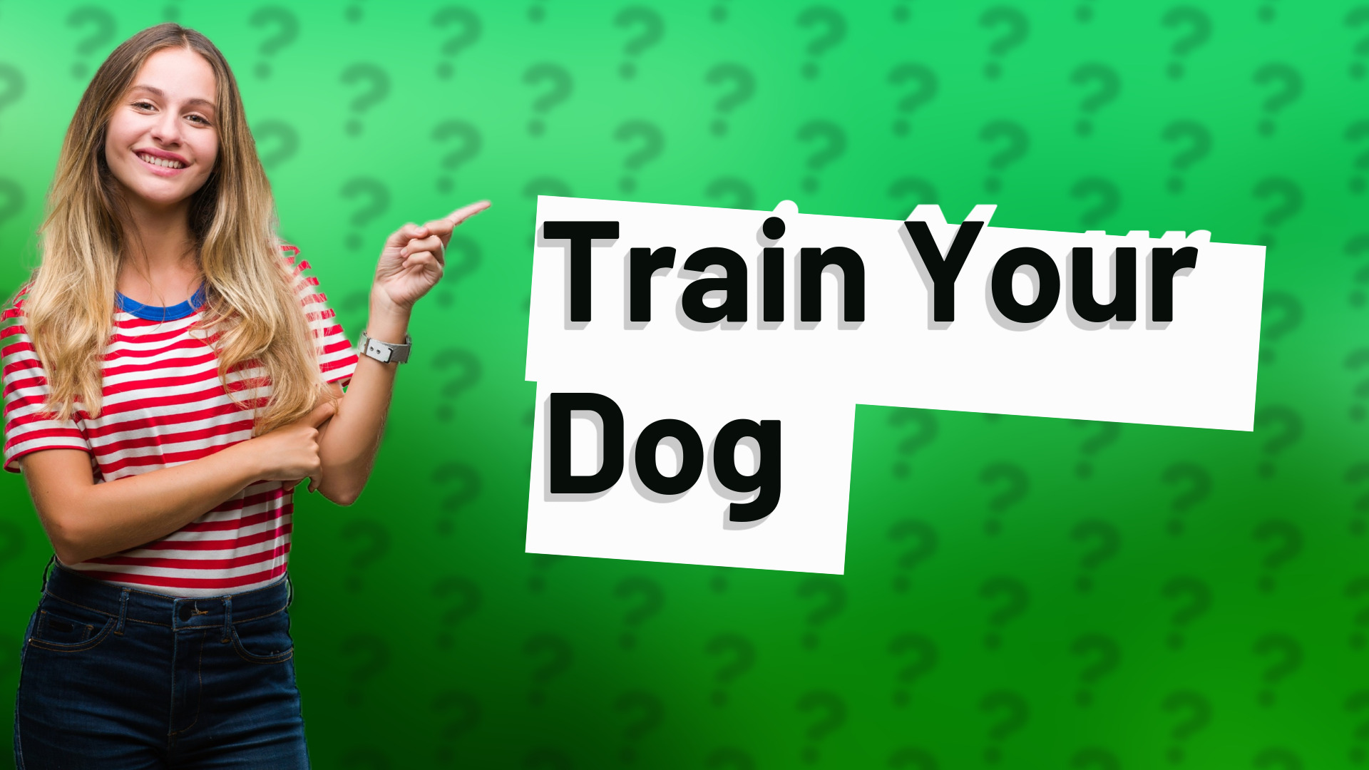 Train Your Dog
