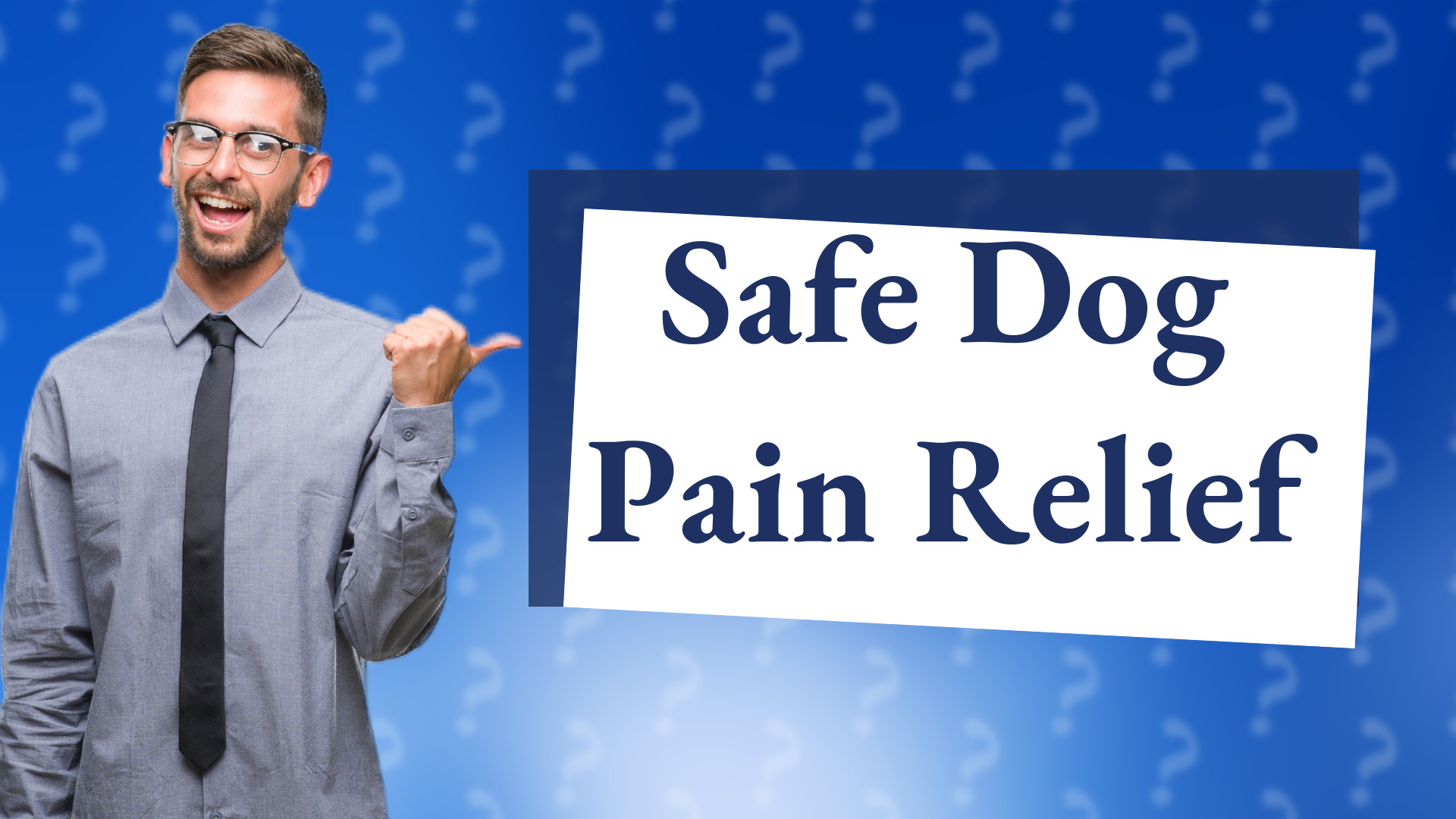 Safe Dog Pain Relief