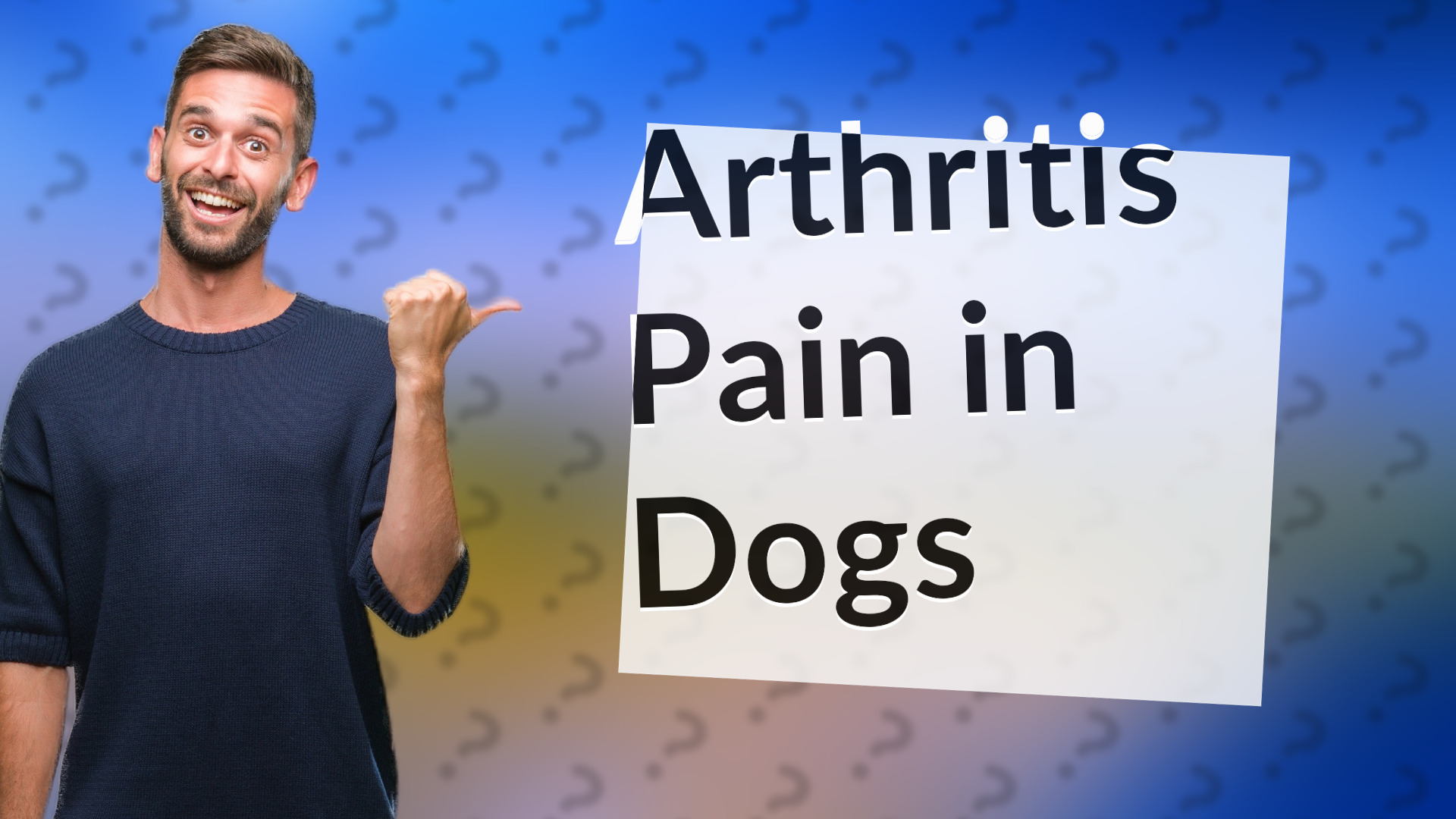 Arthritis Pain in Dogs