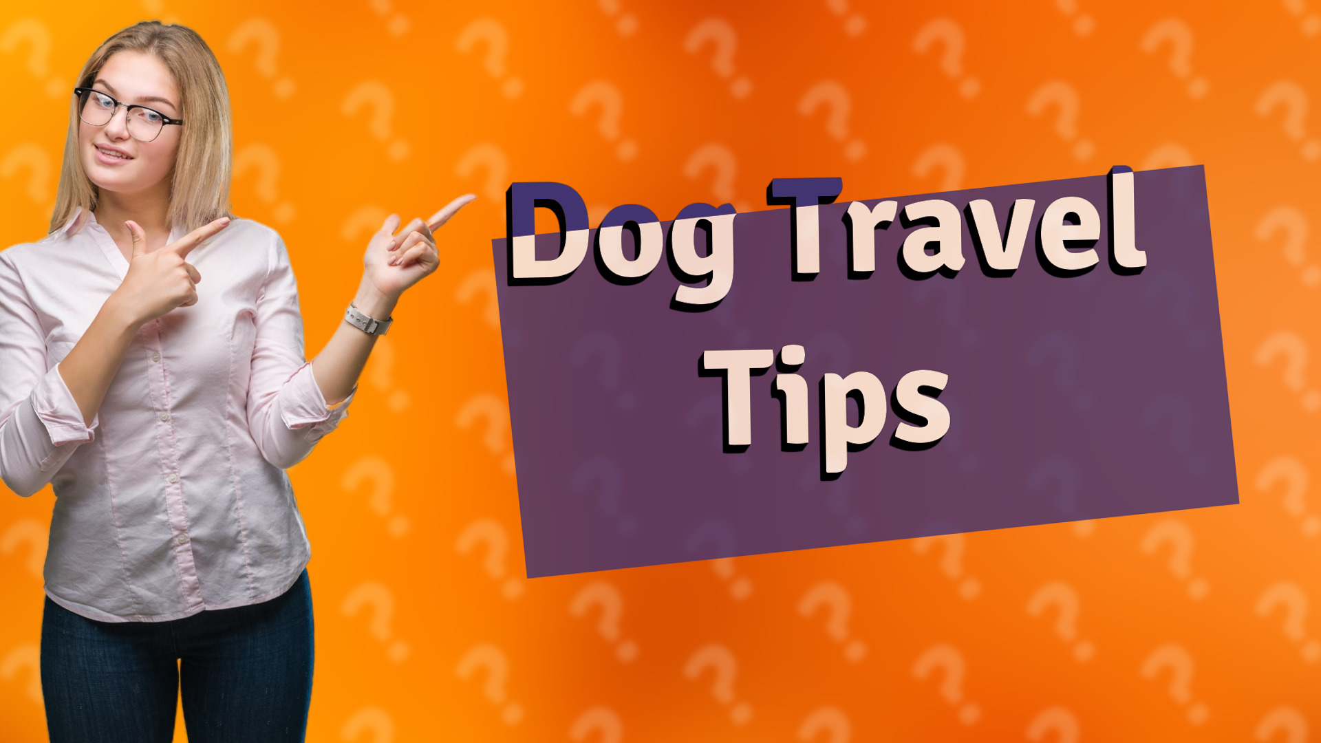 Dog Travel Tips